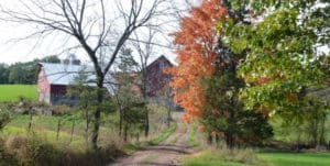 Clinton Township
