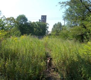 East Newark