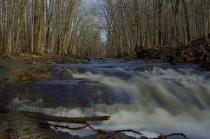 Montgomery Township
