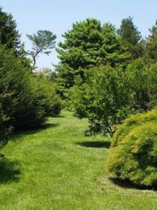 North Brunswick Township