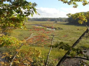 Old Bridge Township